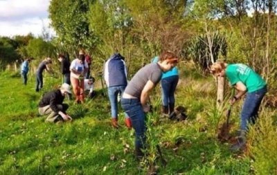 डिग्रीको सर्टिफिकेट पाउन १० वटा रुख रोप्नै पर्ने
