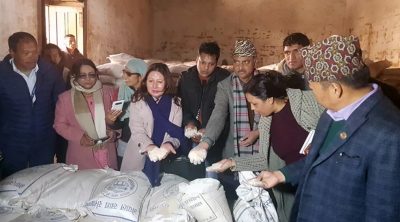 अनुगमन : थापाथलीको खाद्य गोदाममा भेटियो ४८७ क्वीन्टल कुहिएको चामल अनुगमन : थापाथलीको खाद्य गोदाममा भेटियो ४८७ क्वीन्टल कुहिएको चामल