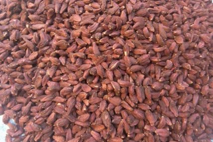 अलैँचीको मूल्य एक महिनामै प्रतिमन १३ हजार रुपैयाँले घट्यो