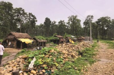 यसरी बाँडिदैछ सुकुम्बासीलाई जग्गा,अव्यवस्थित बसोबासीले सरकारसँग जग्गा किन्नुपर्ने यसरी बाँडिदैछ सुकुम्बासीलाई जग्गा,अव्यवस्थित बसोबासीले सरकारसँग जग्गा किन्नुपर्ने