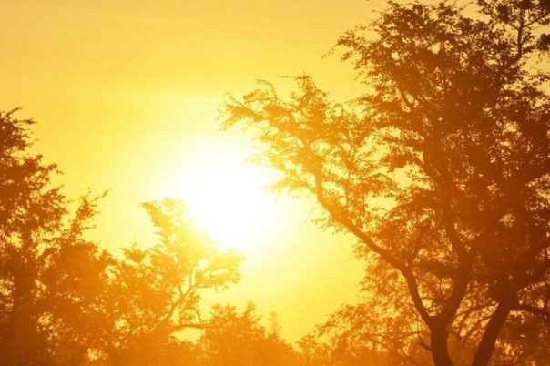 भारतमा तापलहर (लु) बाट १६ जनाको मृत्यु