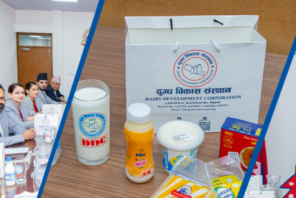 मन्त्रिपरिषद् बैठकमा डीडीसीका उत्पादन वितरण, स्वदेशी वस्तु प्रवर्द्धनमा सरकारको जोड