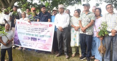 बाढीमा ज्यान गुमाएकाको सम्झनामा नेकपा एमालेद्वारा बाँकेमा वृक्षारोपण